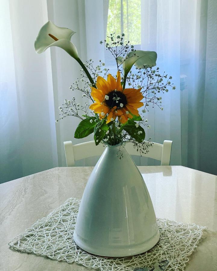 Casa Vacanze “Il Sogno” バニョレージョ エクステリア 写真
